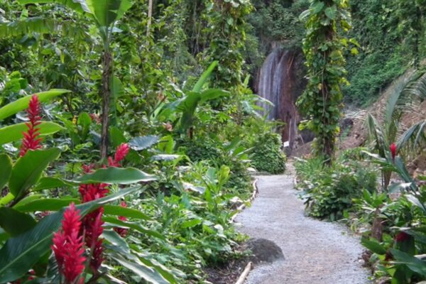 9395_Caribbean-Saint-Lucia-see-do-Diamond-Falls-Botanical-Gardens-tour-waterfall-h