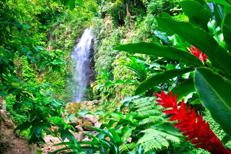Waterfall Chasing